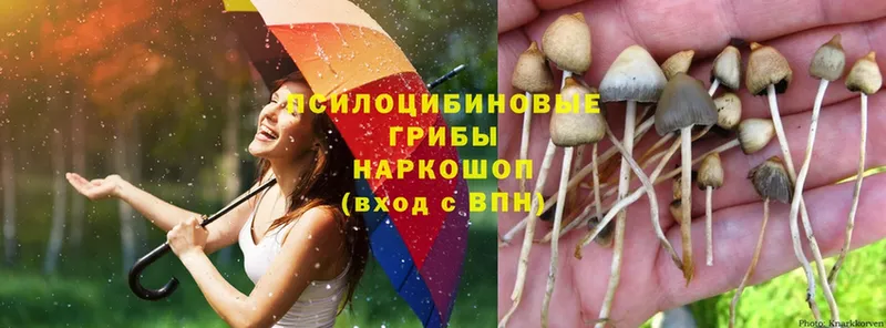 Галлюциногенные грибы Magic Shrooms  продажа наркотиков  Баймак 